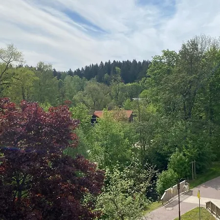 Hotel Braunlage 2* Braunlage