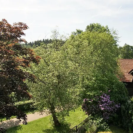 Hotel Hotel Braunlage