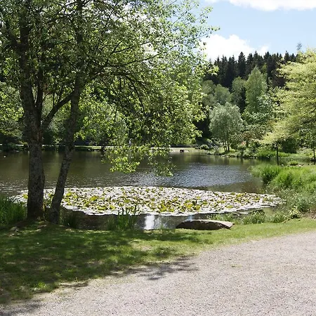 Hotel Braunlage Braunlage